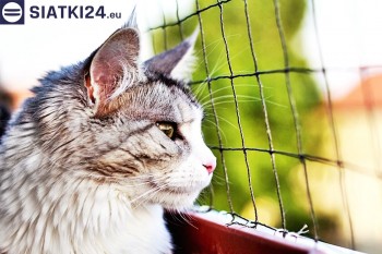 Siatki Ostrzeszów - Siatka na balkony dla kota i zabezpieczenie dzieci dla terenów Ostrzeszowa