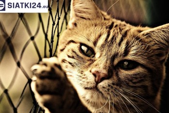Siatki Ostrzeszów - Siatki na balkony - zabezpieczenie dzieci i zwierząt dla terenów Ostrzeszowa