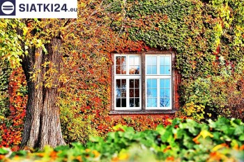 Siatki Ostrzeszów - Siatka wspomagająca wzrost roślin pnących na ścianie dla terenów Ostrzeszowa
