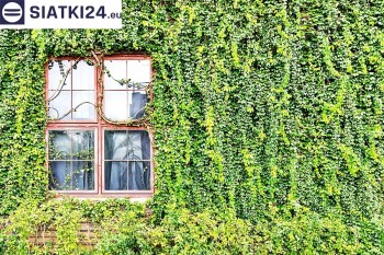 Siatki Ostrzeszów - Siatka z dużym oczkiem - wsparcie dla roślin pnących na altance, domu i garażu dla terenów Ostrzeszowa