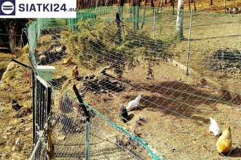 Siatki Ostrzeszów - Siatka na woliery - zabezpieczenia ptaków w hodowli dla terenów Ostrzeszowa